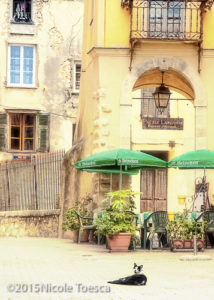 Cafe Kitty, Provence